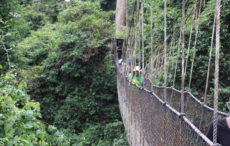 Kakum National Park